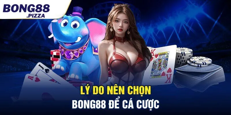 Lý do nên chọn Bong88 để cá cược